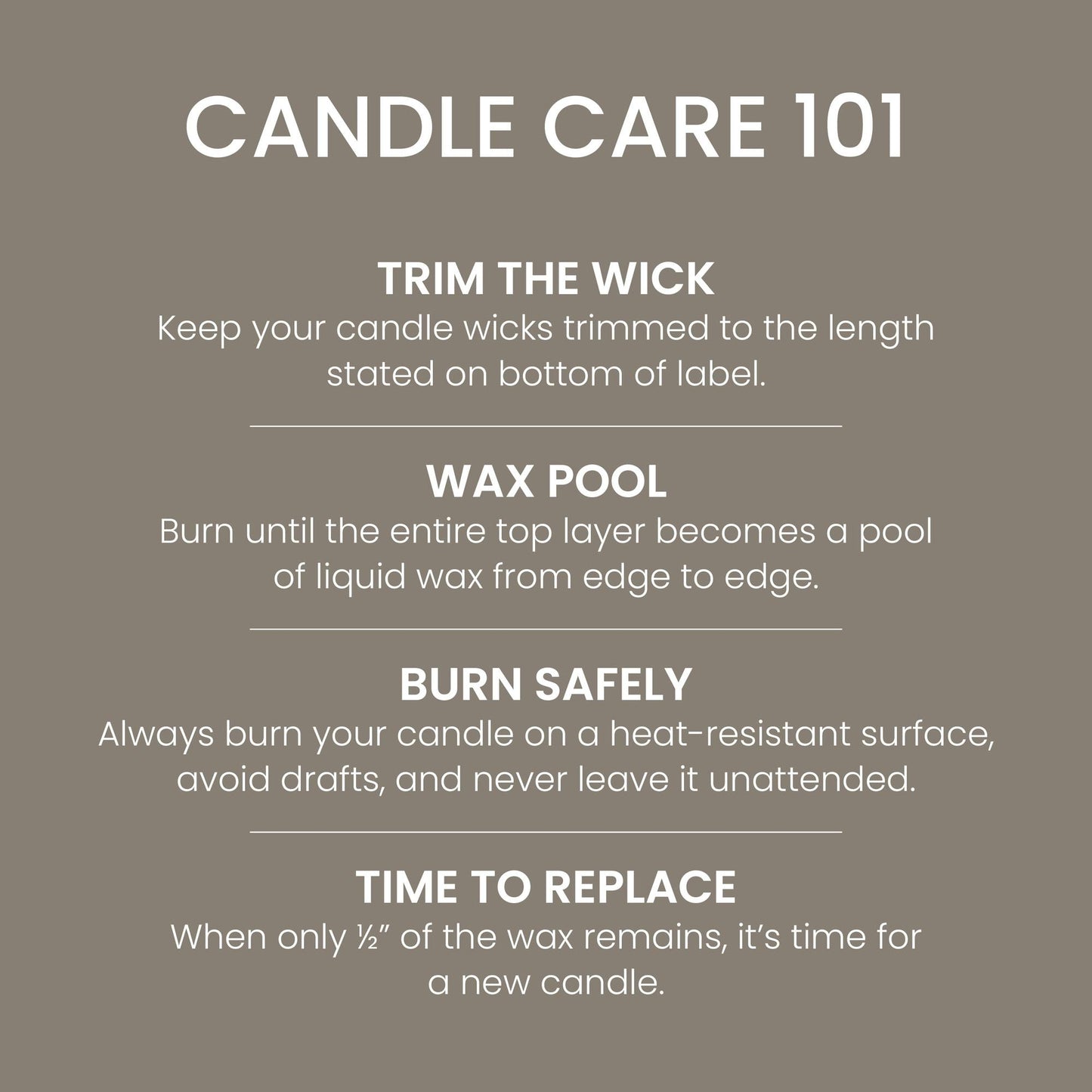Campfire Nights